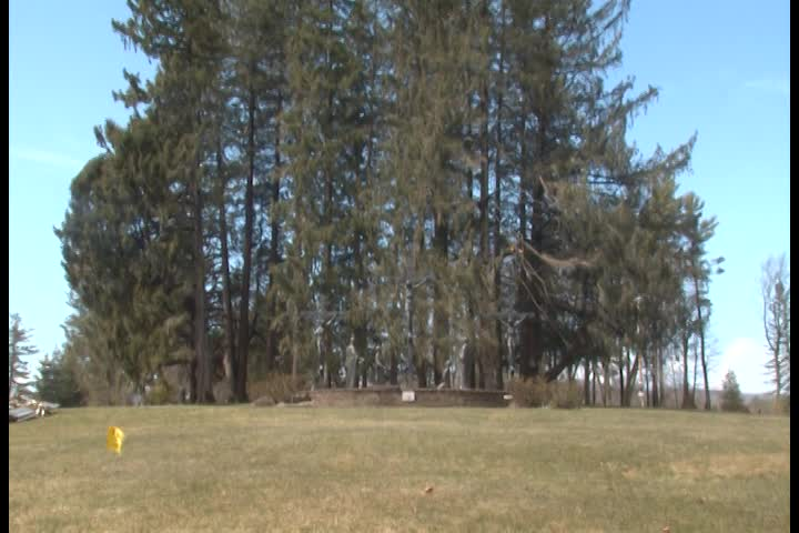 Thumbnail image for Real To Reel.  April 8, 2023.