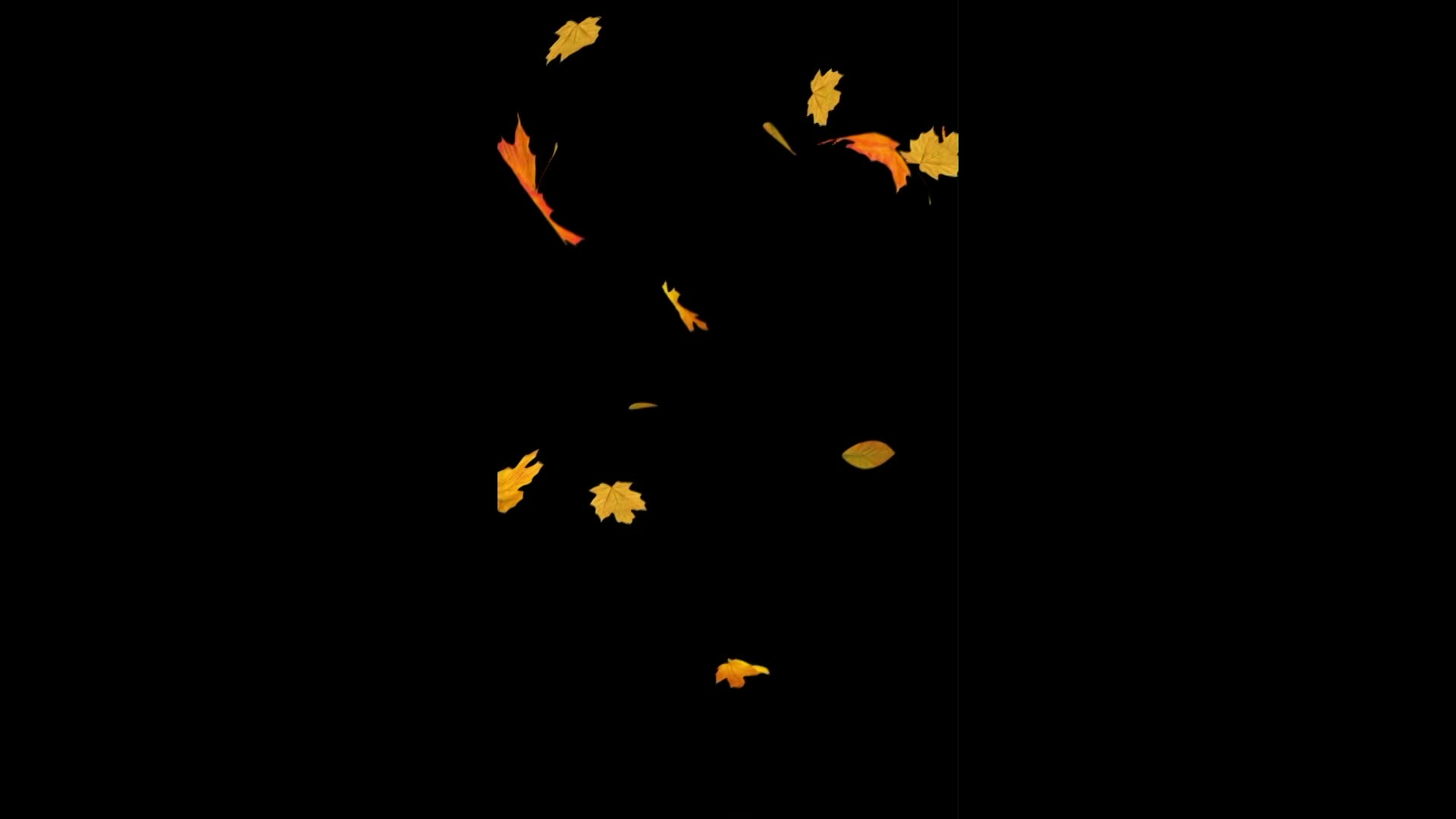 Improvisations. Episode 003.