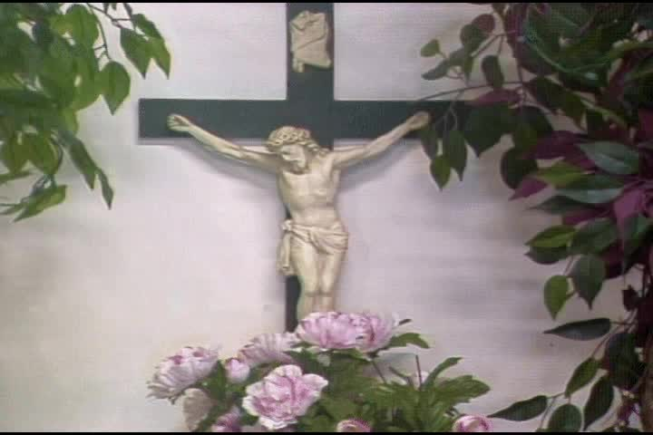 Thumbnail image for In Season And Out of Season.  #527.