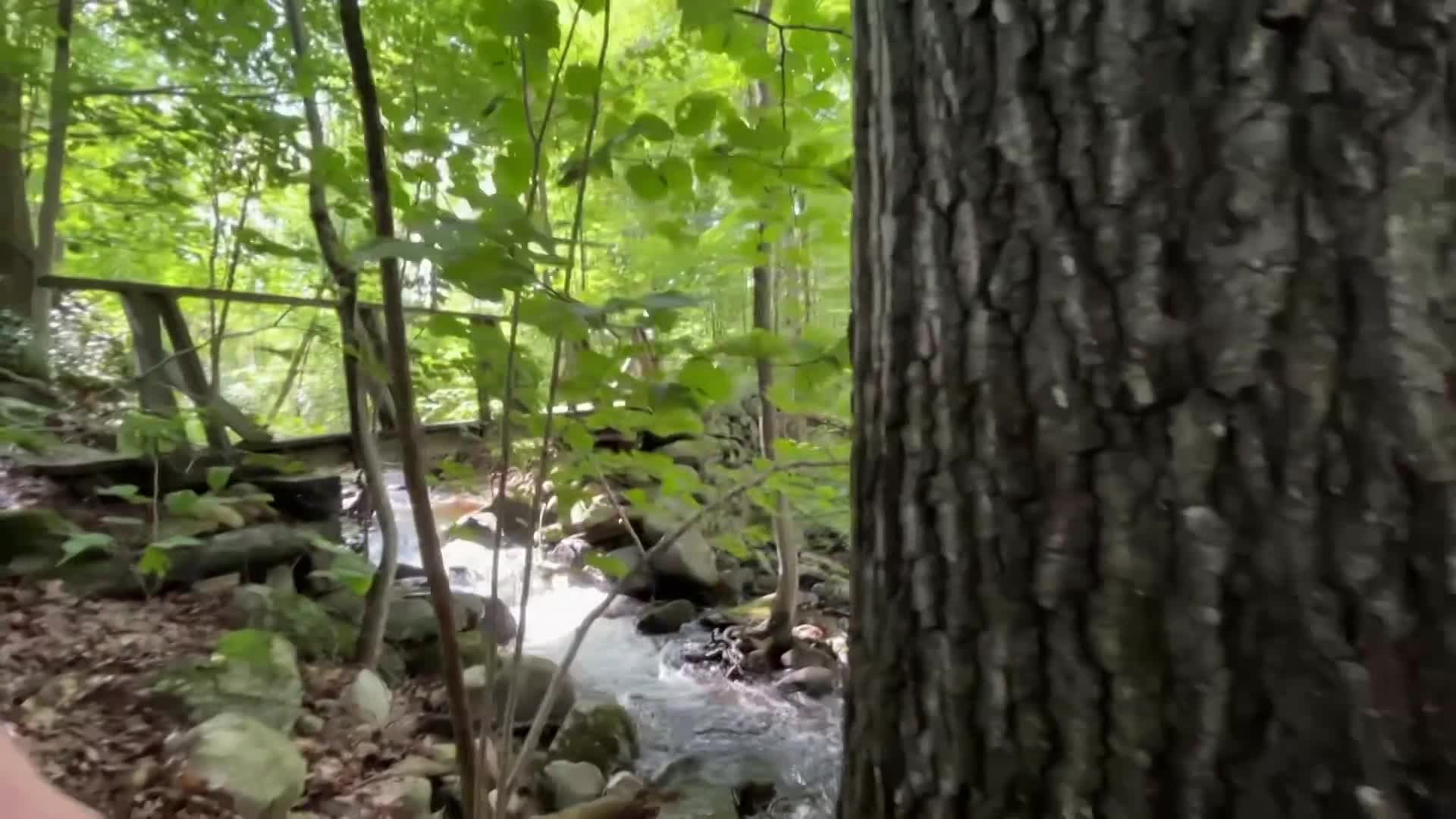 Thumbnail image for CTSB Community Highlights "'Town of Lee: An Appalachian Trail Community,' with Deborah Cranwell and Josh Weeks."