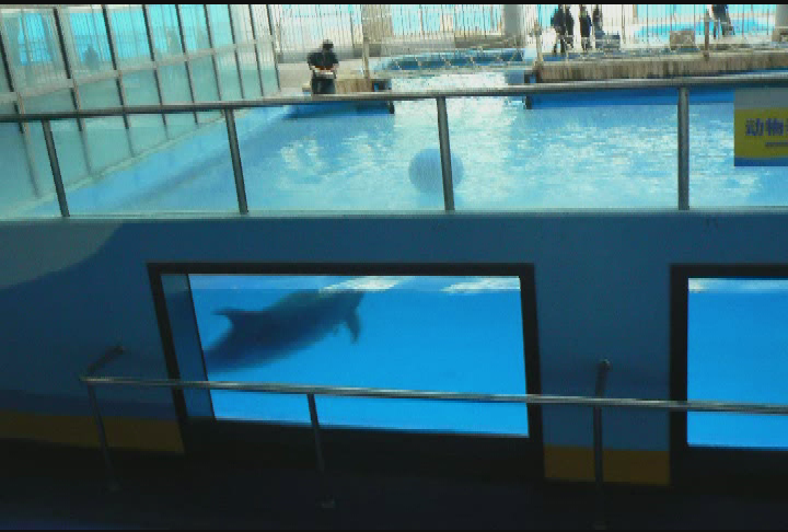 Thumbnail image for Travel With The Radins.  'China, Part 1 of 3.  October - November, 2007, March, 2008.'