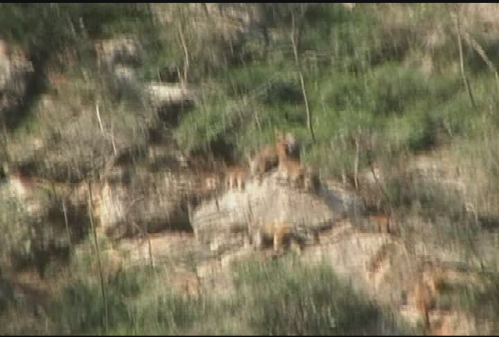 Thumbnail image for Travel With The Radins.  'China, Part 3 of 3.  October - November, 2007.'