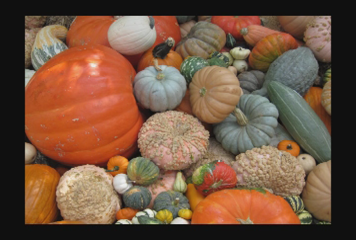 Thumbnail image for The Reading Lady.  'Episode #35:  I Am Thankful For ....'