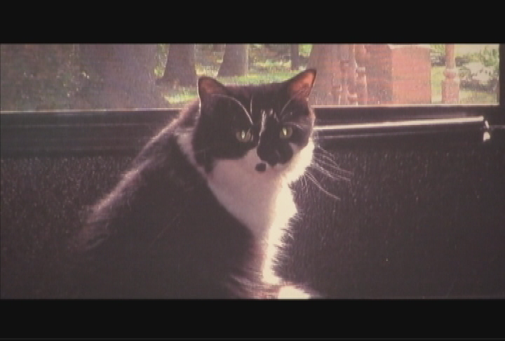 Thumbnail image for Creative Lee XI.