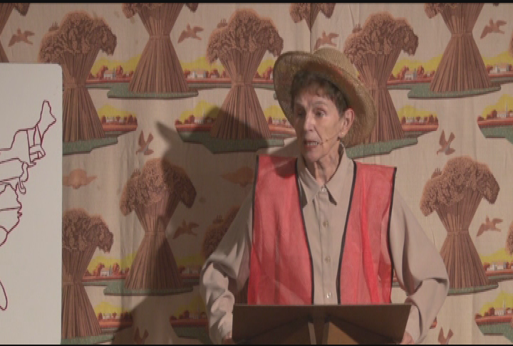 "Go Granny D -- Memoir of a 90-something Activist."