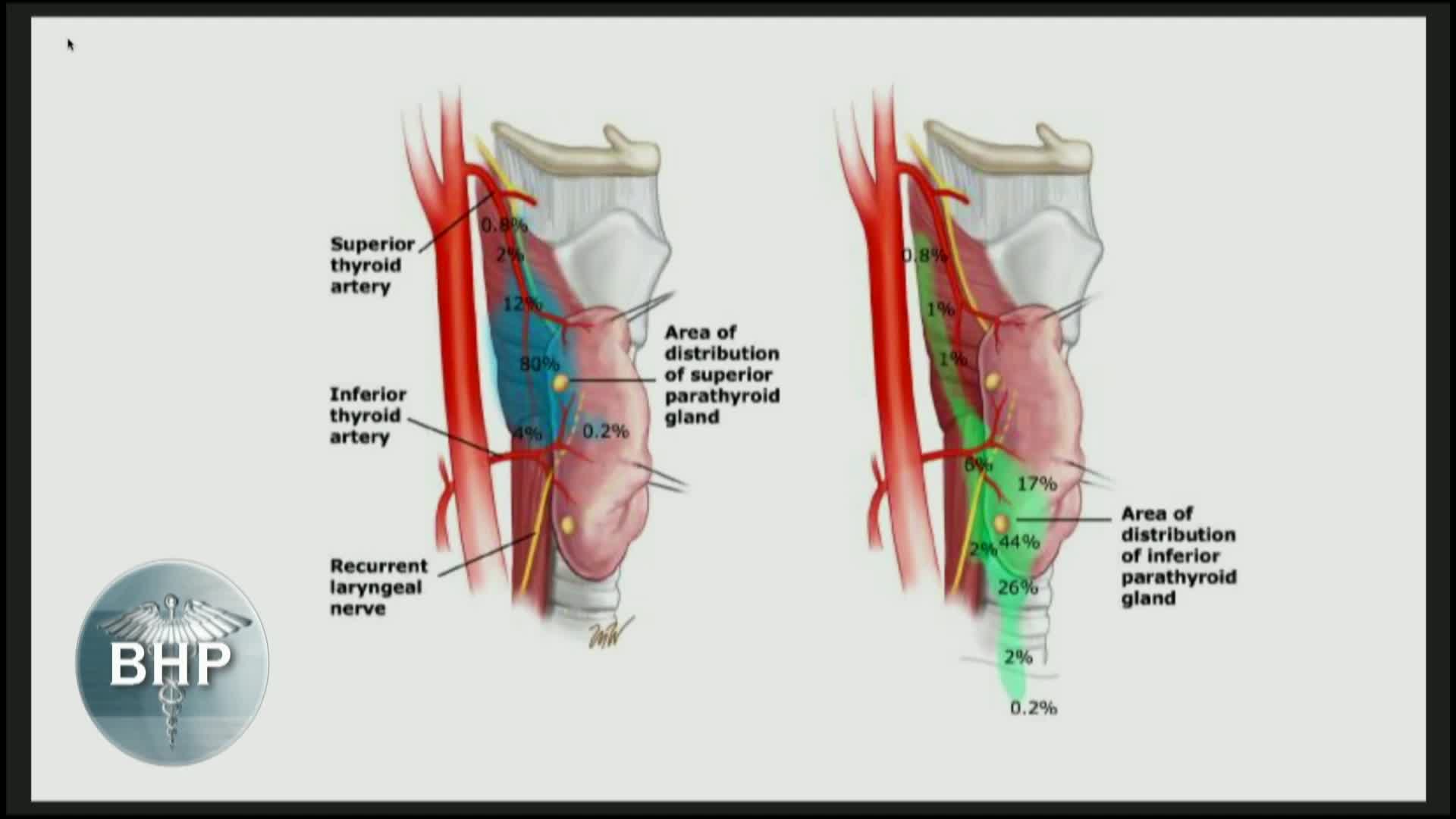 Thumbnail image for Berkshire Health Systems presents "Berkshire Health Program: 'Thyroid and Parathyroid Surgery,' with Clayton Peterson, M.D."