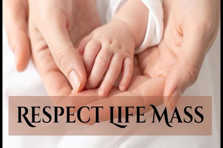 Catholic Communications Corporation presents "Chalice of Salvation."  January 25, 2026