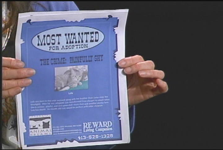 Thumbnail image for Getting To Know You.  'Yvonne Borsody and Animal Dreams.'