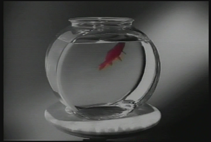 Thumbnail image for New England Cuisine.  'Mediterranean Theme,' with Chef Dan Cote.