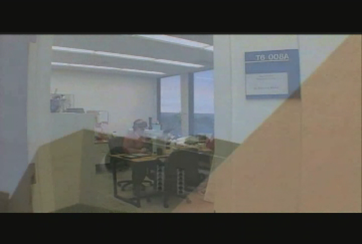 Thumbnail image for "Bats ...the last flight."