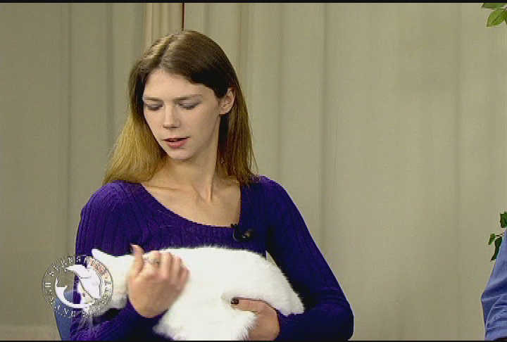 Thumbnail image for 'Purr Wag Adopt ... With the Berkshire Humane Society.'  'Episode #09:  Senior Pets; Guest, Dr. Reynolds.'