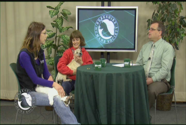Thumbnail image for 'Purr Wag Adopt ... With the Berkshire Humane Society.'  'Episode #13:  Humane Race & Cairn Terriers.'