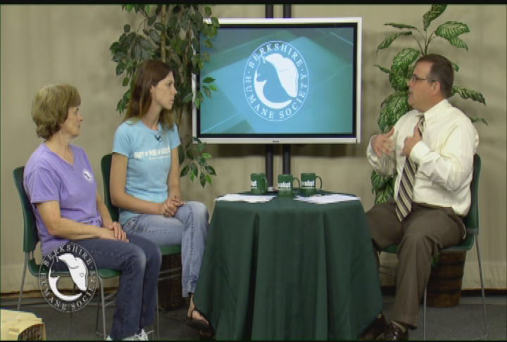 Thumbnail image for 'Purr Wag Adopt ... With the Berkshire Humane Society.'  'Episode #15:  Adopt A Cat Month Special.'