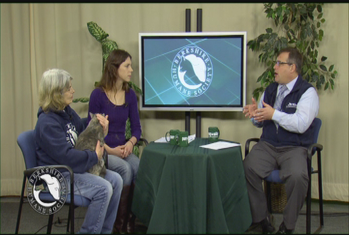 Thumbnail image for 'Purr Wag Adopt ... With the Berkshire Humane Society.'  'Episode #18:  Home for the Holidays.'