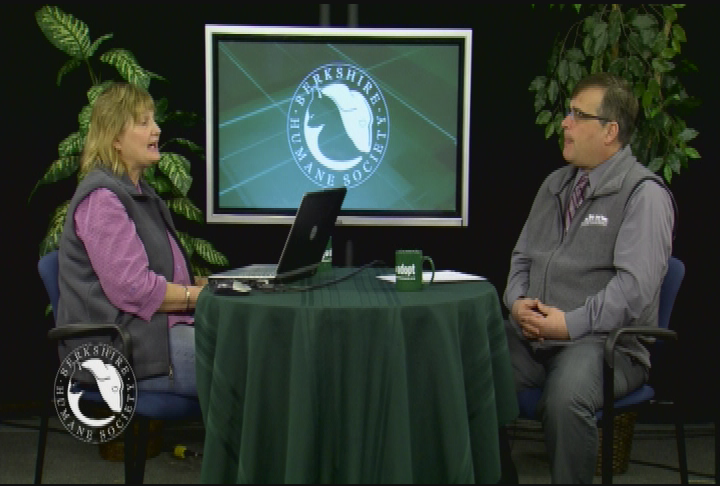 'Purr Wag Adopt ... With the Berkshire Humane Society.'  'Episode #20:  Wild Horses.'