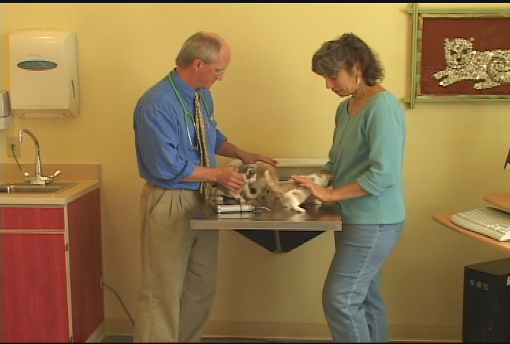 Thumbnail image for Woody's World Presents:  Exploring the Mysteries.  'Feral Cats of the Berkshires.'