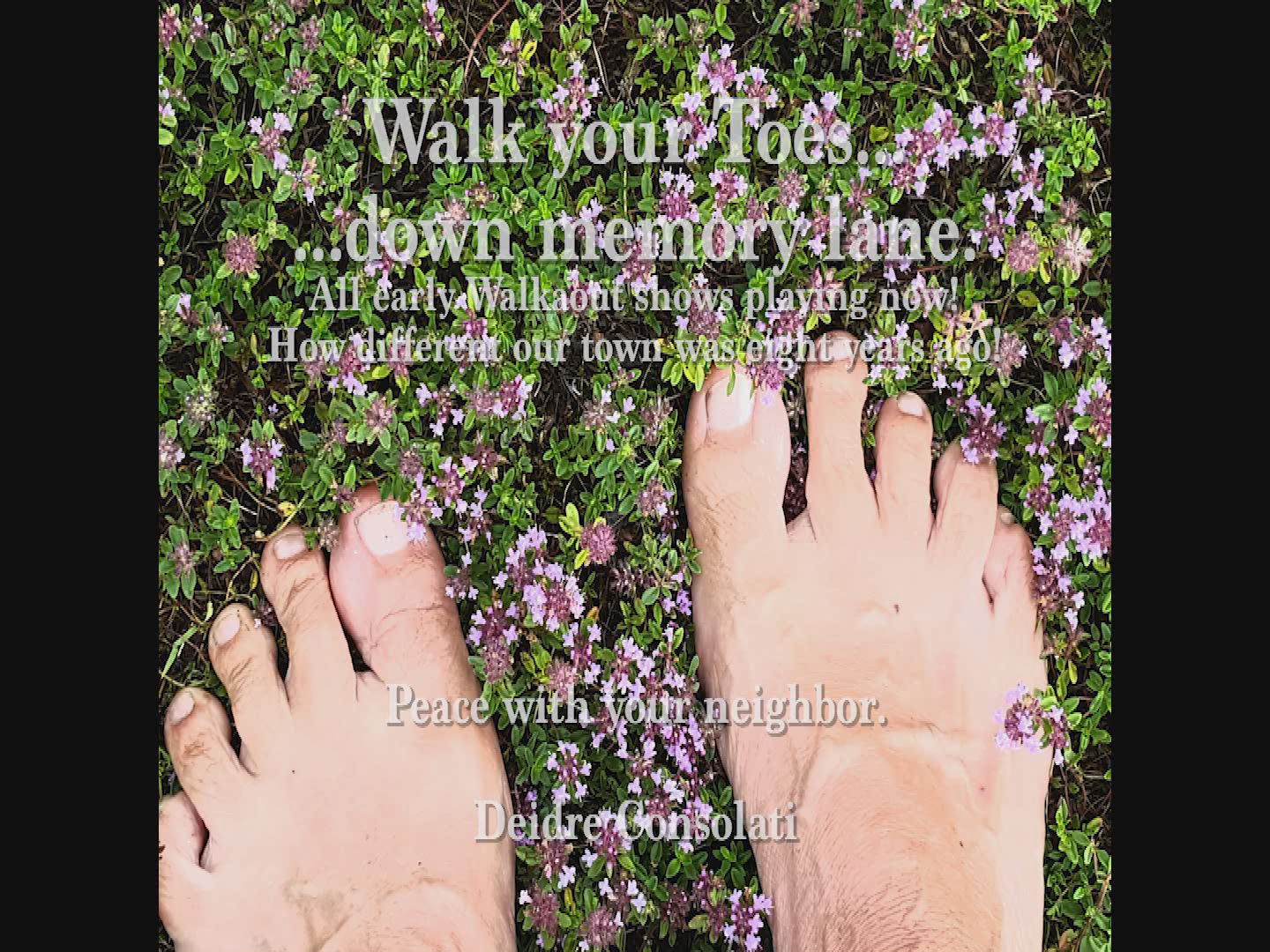 Thumbnail image for Walkabout.  January 11, 2008.