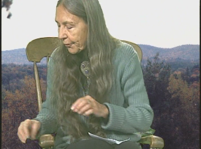 Thumbnail image for Walkabout.  November 14, 2008.