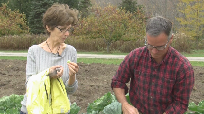Thumbnail image for "The Natural Cook With Anna Gershenson," Episode 37.  "Red Shirt Farm Thanksgiving, Part 3 of 3:  Visiting Jim Schultz and Red Shirt Farm before Thanksgiving."