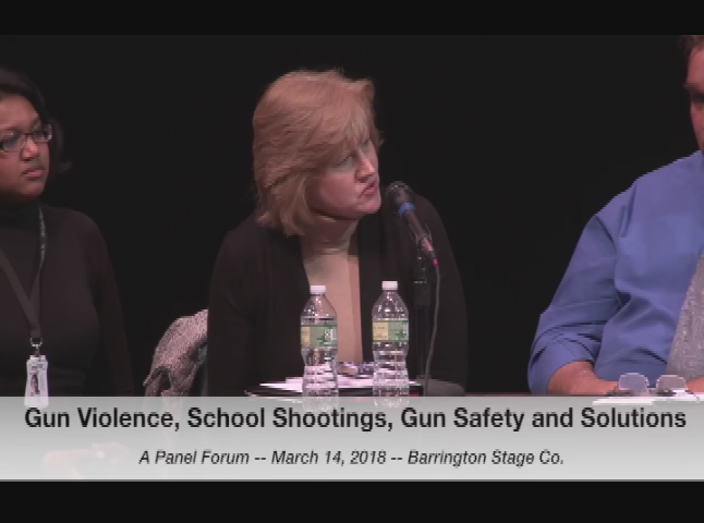 Thumbnail image for "Gun Violence, School Shootings, Gun Safety and Solutions," March 14, 2018.  A New England Newspapers, Inc., Panel Forum at Barrington Stage Company, Pittsfield.