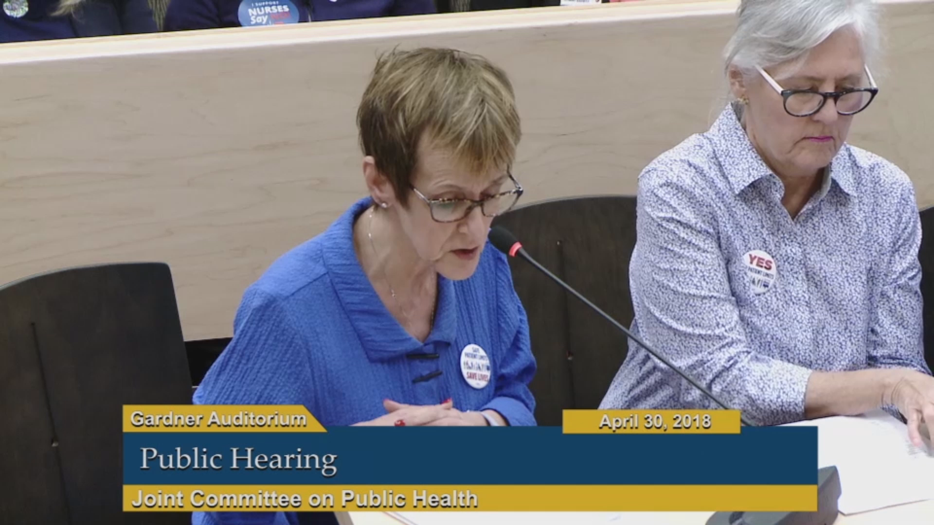 Thumbnail image for Commonwealth of Massachusetts State House.  Joint Committee on Public Health, Public Hearing, April 30, 2018.