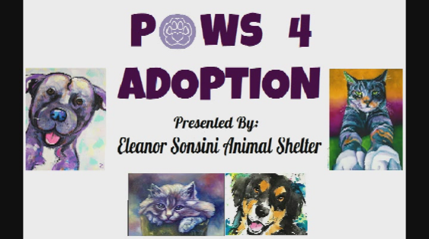 Thumbnail image for "'Paws 4 Adoption,' presented by Eleanor Sonsini Animal Shelter."