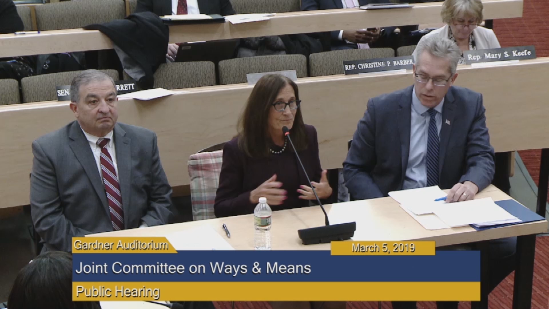Thumbnail image for Commonwealth of Massachusetts State House.  Joint Committee on Ways & Means, Public Hearing, March 5, 2019, Part 2 of 2.