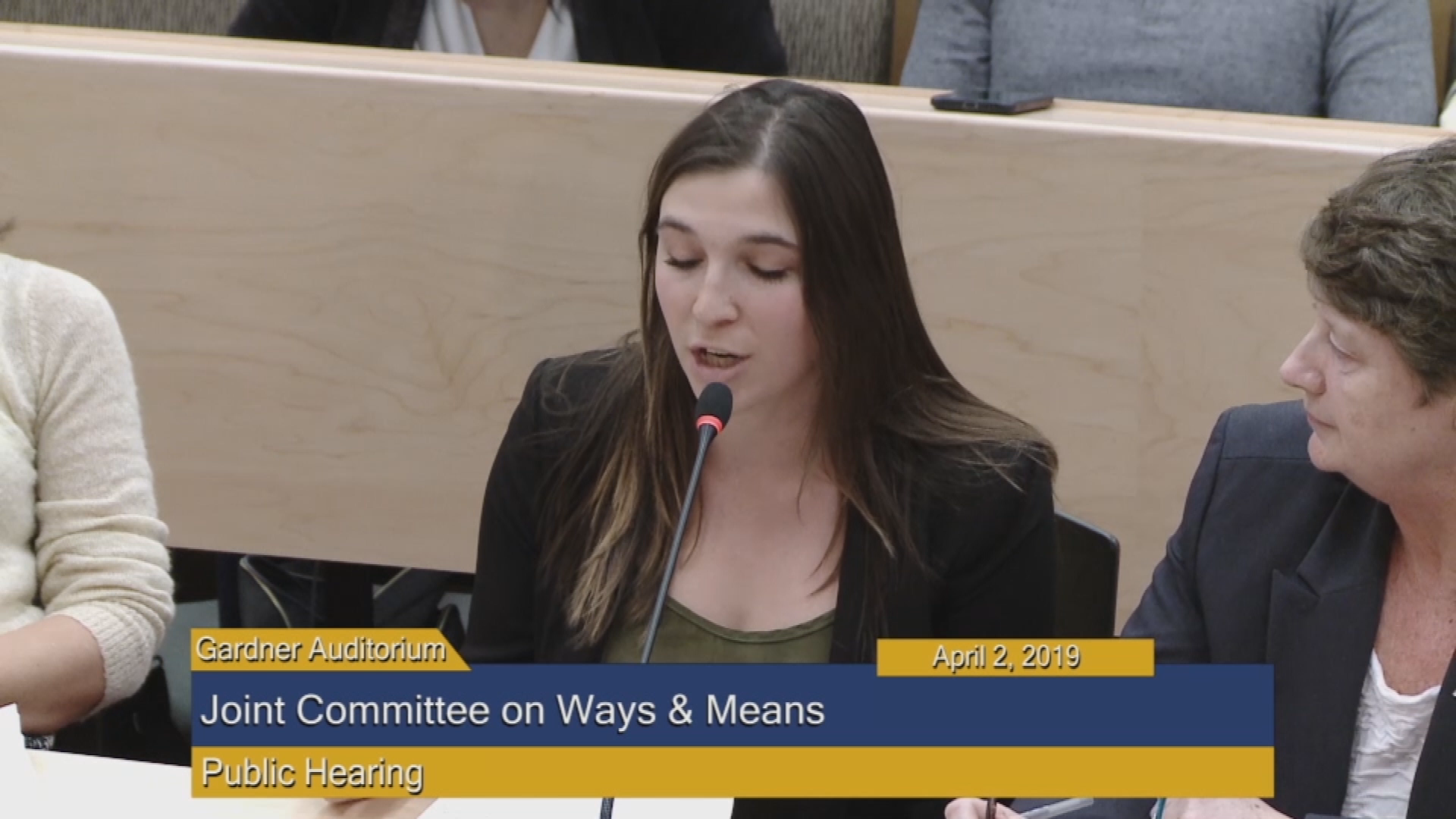 Thumbnail image for Commonwealth of Massachusetts State House.  Joint Committee on Ways & Means, Public Hearing, Part 2 of 2, April 2, 2019.