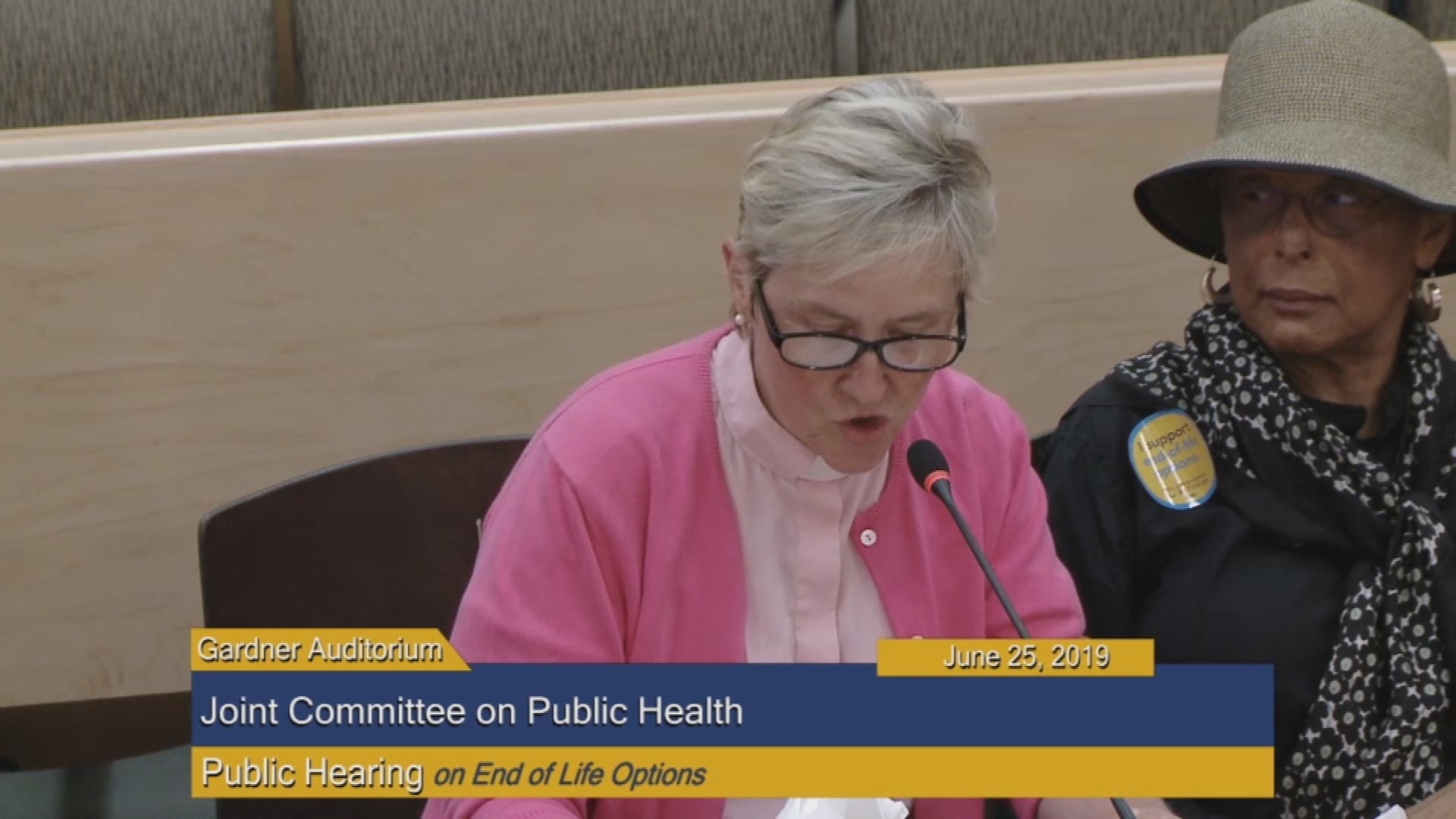 Thumbnail image for Commonwealth of Massachusetts State House.  Joint Committee on Public Health, Public Hearing on End of Life Options (House Bill 1926, and Senate Bill 1208).  Part 2 of 3, June 25, 2019.