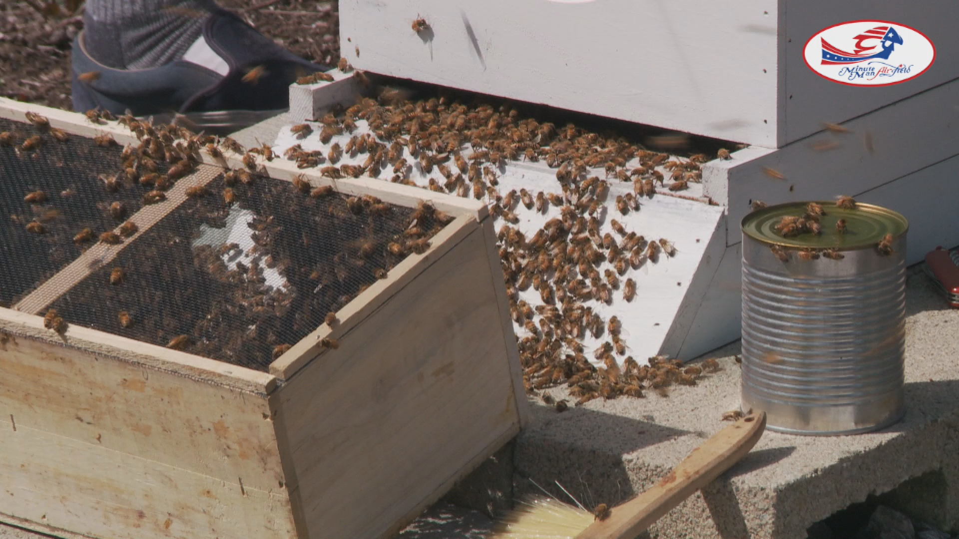 Thumbnail image for "Beekeeping 101," with Don McPherson, Stow, Massachusetts.