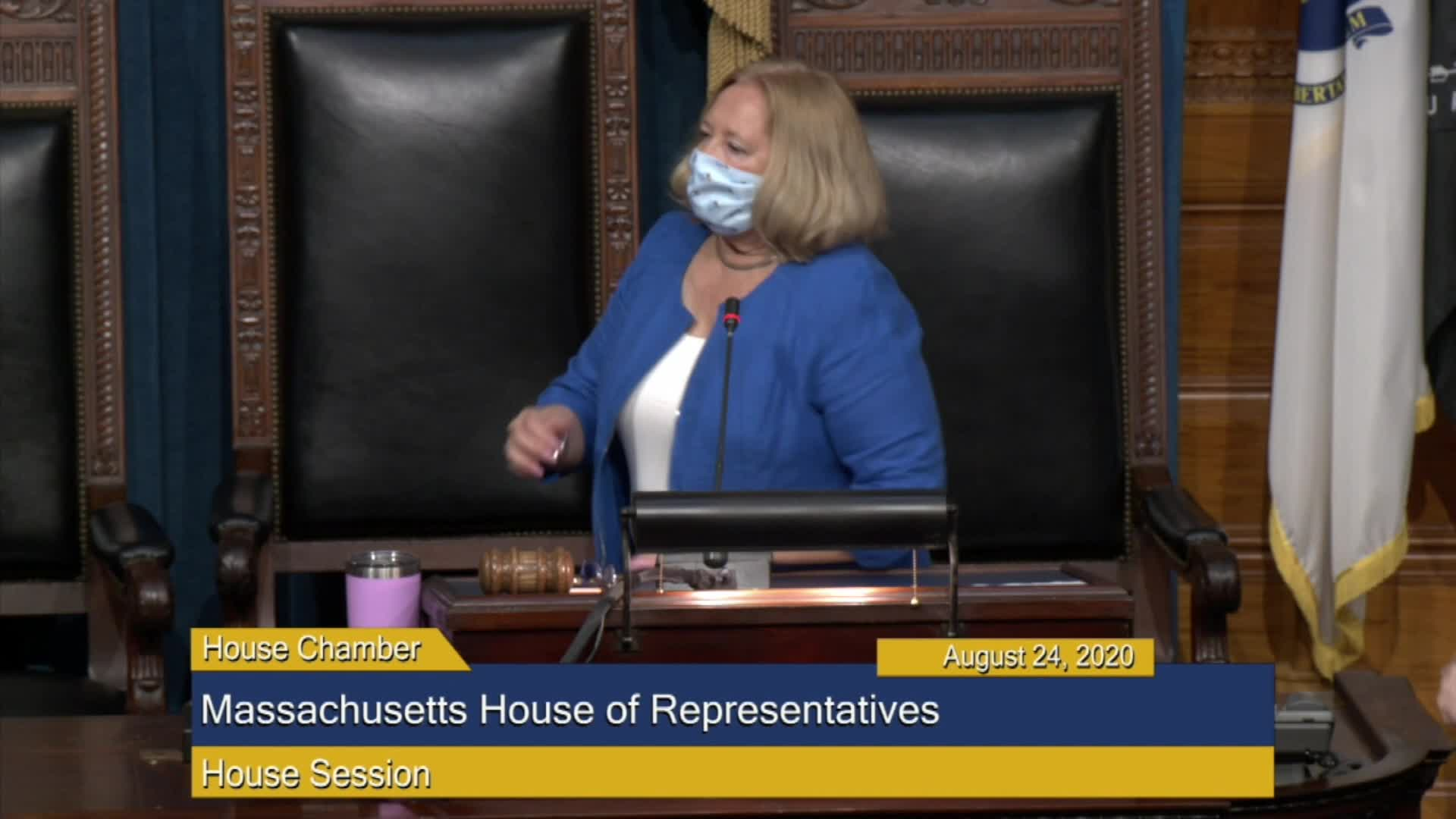 Thumbnail image for Commonwealth of Massachusetts State House.  House of Representatives, Informal Session, August 24, 2020.