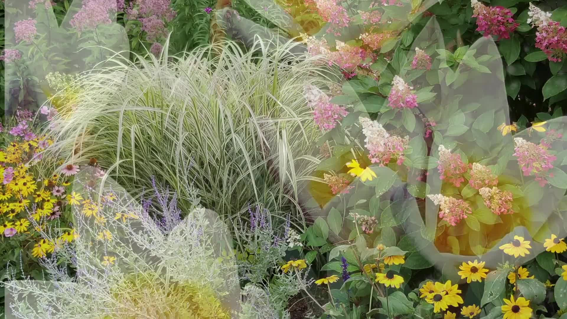 Thumbnail image for The Folklore Gardener, with Sam Bittman.  06.