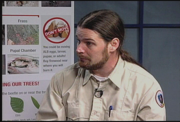 Thumbnail image for Your Federal Government.  'Episode 18.  United Stated Department of Agriculture's Animal and Plant Health Inspection Service (USDA-APHIS):  Asian Longhorned Beetle.'