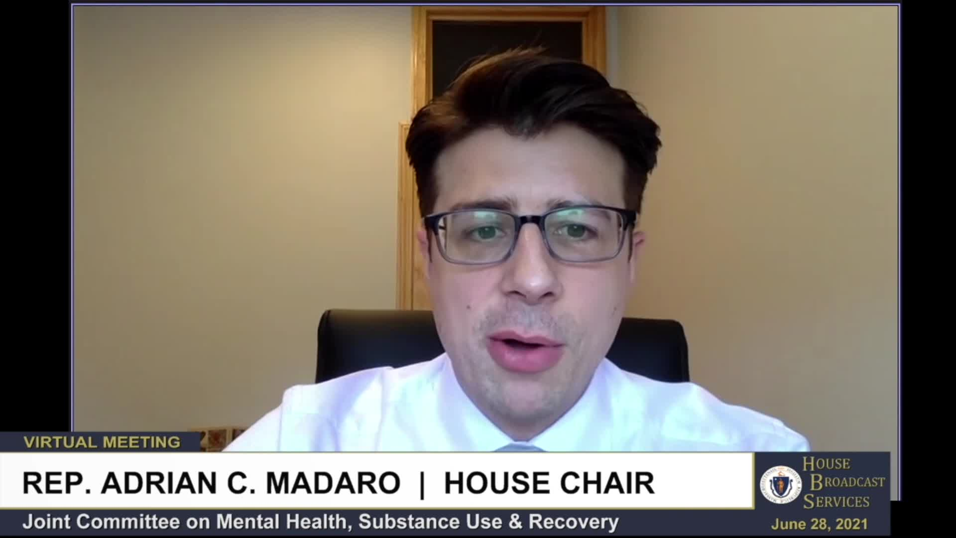 Thumbnail image for Commonwealth of Massachusetts State House.  Joint Committee on Mental Health, Substance Use and Recovery, Public Hearing, Part 2 of 2, June 28, 2021.