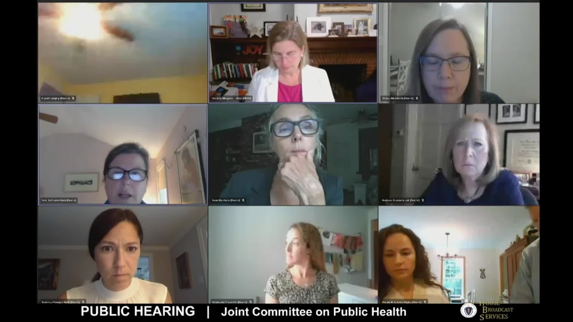 Thumbnail image for Commonwealth of Massachusetts State House.  Joint Committee on Public Health, Remote Public Hearing on Bills related to Vaccines, Part 1 of 5, July 12, 2021.