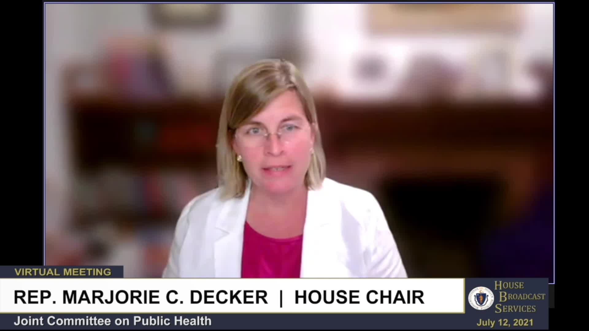 Thumbnail image for Commonwealth of Massachusetts State House.  Joint Committee on Public Health, Remote Public Hearing on Bills related to Vaccines, Part 5 of 5, July 12, 2021.