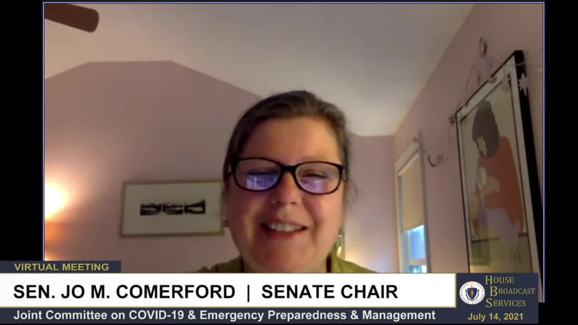 Thumbnail image for Commonwealth of Massachusetts State House.  Joint Committee on COVID-19 and Emergency Preparedness and Management, Remote Public Hearing, July 14, 2021.