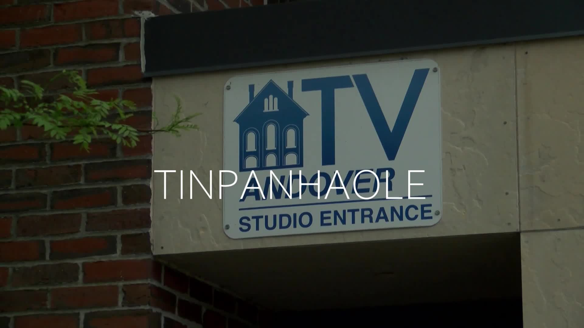 Thumbnail image for Goober County Jamboree.  "Green Heron."