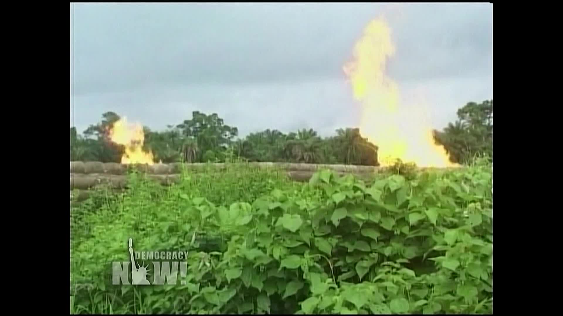 Thumbnail image for Democracy Now!  December 31, 2021.